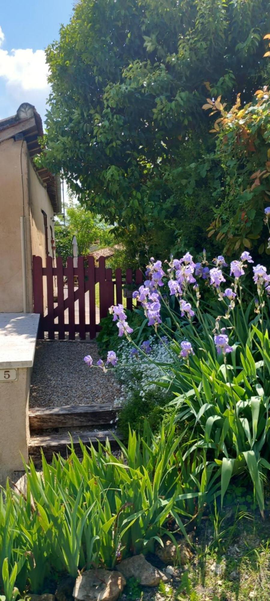 La Maison Du Tourniquet Aubeterre-sur-Dronne Εξωτερικό φωτογραφία